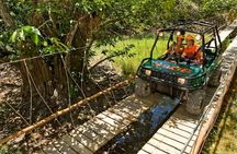 Tour Xplor From Playa del Carmen