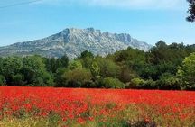 Cotes de Provence Wine Tour from Aix-en-Provence