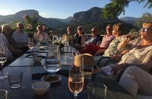 Discover the varieties of wines, olive oil and food on Mallorca