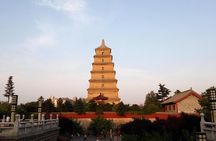 Half-Day Private Tour of Xian Museum and Big Wild Goose Pagoda