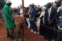 David Sheldrick Half-Day Tour