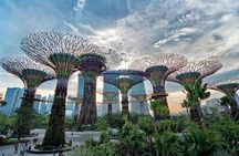 Private Singapore Night Tour with Gardens by the Bay&River Cruise
