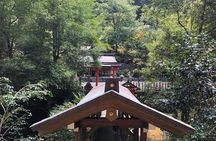 Historic and Natural Guided Hike in Yoshino