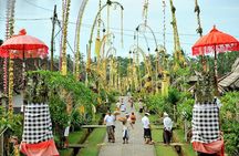 Amazing Bali Tour With 6 Places