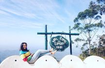 Day Excursion to Lipton Seat & Dambatenne Tea Factory from Ella