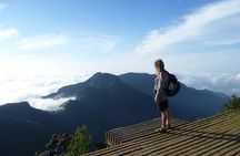 Day Excursions to Horton Plains & Local Train Experience from Ella