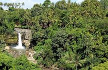 Bali Private Tour: Waterfall, Monkey forest and Tanah lot sunset