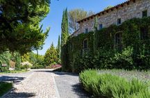 Vineyards, Wine Tasting and Pairing in San Miguel
