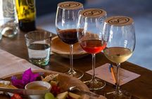 Vineyards, Wine Tasting and Pairing in San Miguel
