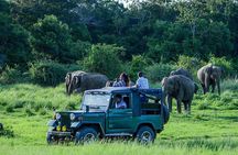 Udawalawe Safari DayTrip frm Bentota/Kalutara/Ahungalla/Hikkaduwa