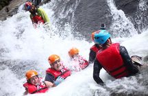 Half-Day El Yunque Rainforest Wilderness Adventure