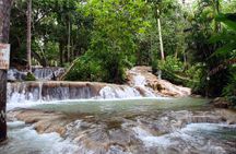 Private Tour to Dunn's River Falls From Ocho Rios 