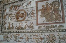 Bardo Museum and Medina Guided Half-Day Tour in Tunis
