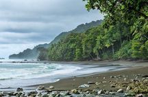 Corcovado National Park One Day Tour