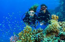 Tulamben Diving Tour Shipwreck USS Bali 
