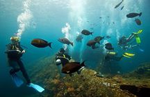 Tulamben Diving Tour Shipwreck USS Bali 