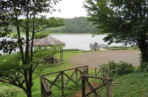 Grand Etang Rainforest Hike – Small-Group Grenada Nature Explorer
