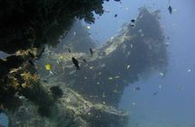 PADI Discover Scuba Diving for Beginners in Tulamben