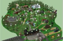 Ranua Zoo Trip from Rovaniemi with lunch