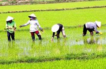 Private Full-day Mekong Tour From Ho Chi Minh City, Including River Cruise