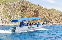 Private Day Trip to San José & Cabo San Lucas