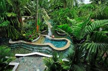 Arenal Volcano and Baldi Hot Springs Full Day Tour from San Jose