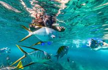 Cabo San Lucas Shopping, Tequila Tasting, and Snorkel Tour