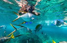Private Day Trip to San José & Cabo San Lucas