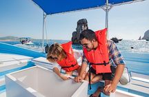 Private Day Trip to San José & Cabo San Lucas