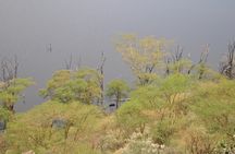 Lake Nakuru National Park - Full Day Tour