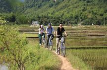 Ninh Binh-Hoa Lu-Tam Coc - Mua cave - Dragon Mountain Hiking 1 Day Tour