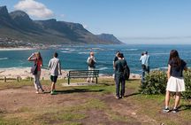 Cape Point Sightseeing Tour including Cape of Good Hope full day from Cape Town