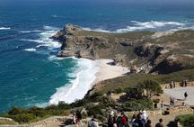 Cape Point Sightseeing Tour including Cape of Good Hope full day from Cape Town