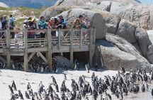 Cape Point Sightseeing Tour including Cape of Good Hope full day from Cape Town