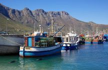 Cape Point Sightseeing Tour including Cape of Good Hope full day from Cape Town