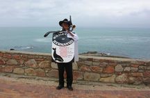 Hermanus Whale Watching Day Trip from Cape Town