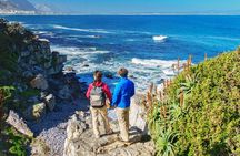 Hermanus Whale Watching Day Trip from Cape Town