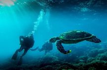 Full-Day Mussandam Cruise with Lunch Dibba
