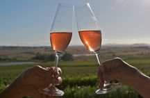 African Story Wine Tours in the Cape Winelands