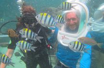 Bali Sea Walking Experience