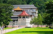 Kandy Day Tour From Colombo