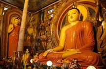 Full Day Tour to Sigiriya & Dambulla from Negombo