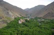 Marrakech to Imlil Valley Tour with Lunch and Guided Trek - All inclusive -