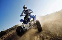 Marrakech Palm Oasis and Desert Quad Bike Adventure