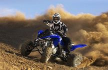 Marrakech Palm Oasis and Desert Quad Bike Adventure