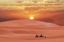 Morning Desert Safari Abu Dhabi with Camel Ride