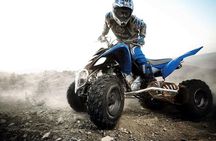 Marrakech Palm Oasis and Desert Quad Bike Adventure