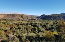 Ourika Valley including Camel Ride Lunch and Guided Hike Day Tour from Marrakech