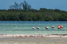 Holbox Island Tour departure from Cancun