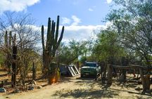 Los Cabos: Hiking at the Fox Canyon
